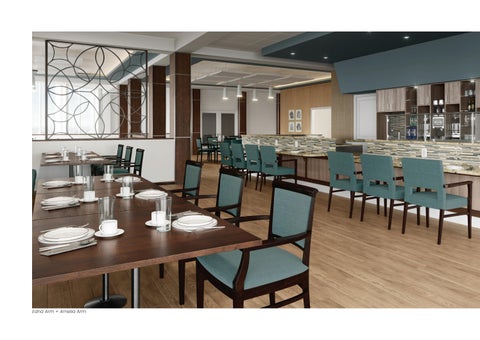 Senior Living 灯饰型录 第 7 页
