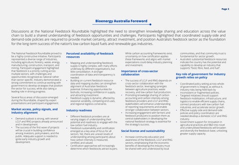 Bioenergy National Feedstock Roundtable report 第 3 页
