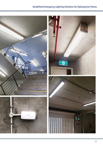 Clevertronics Hydropower 指南 第 17 页