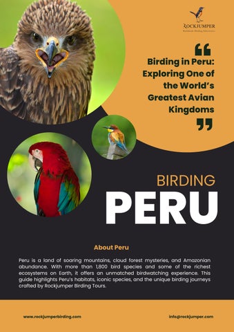 Biridng in Peru
