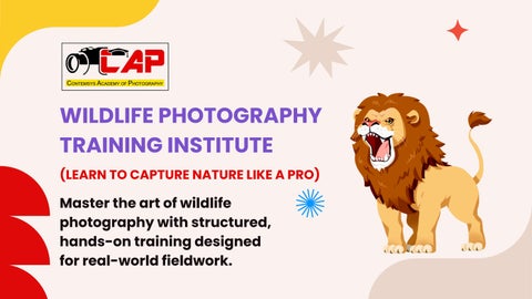 Wildlife Photography Training Institute in Kolkata