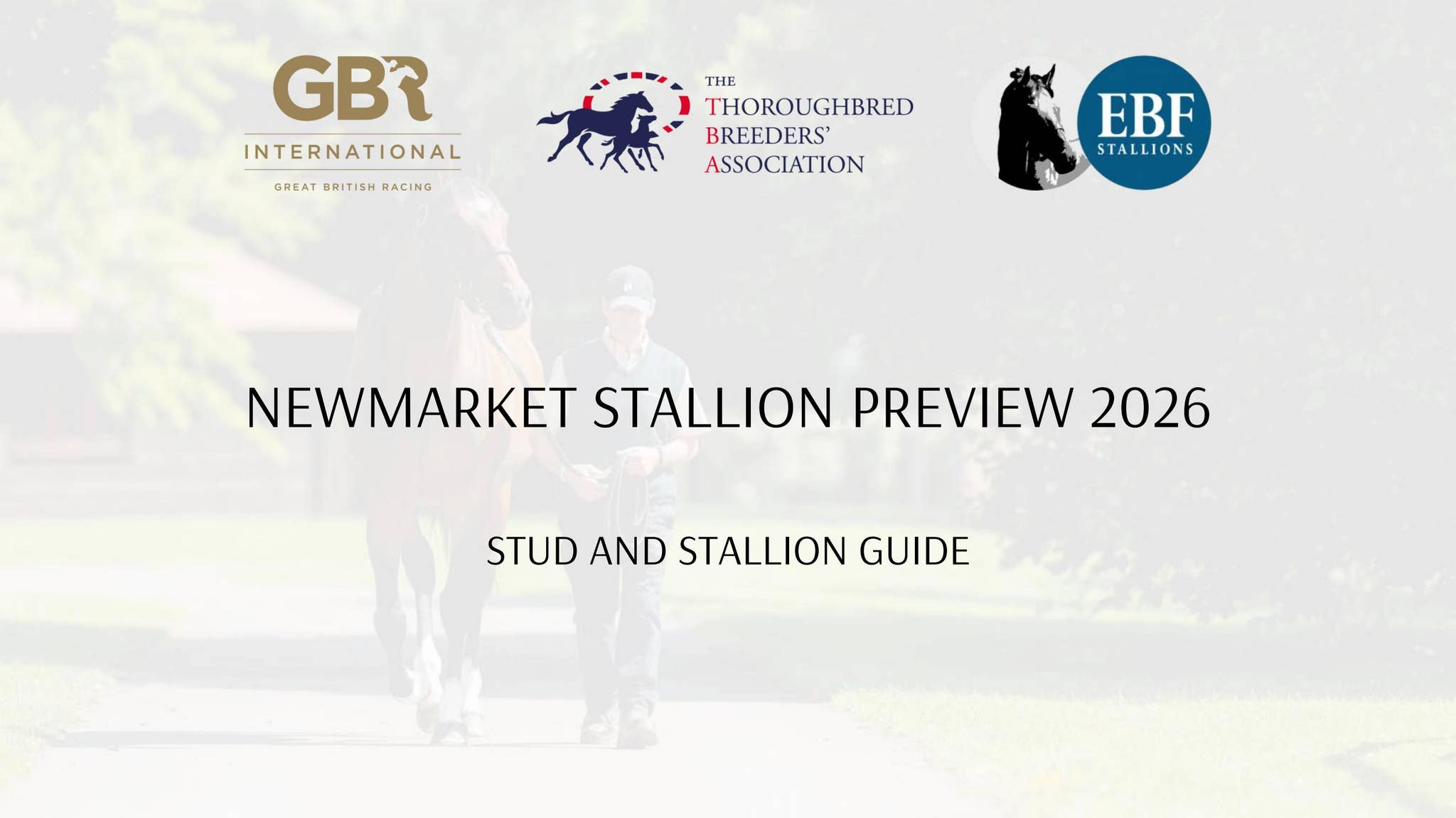 Newmarket Stallion Preview 2026 by greatbritishracinginternational - Issuu