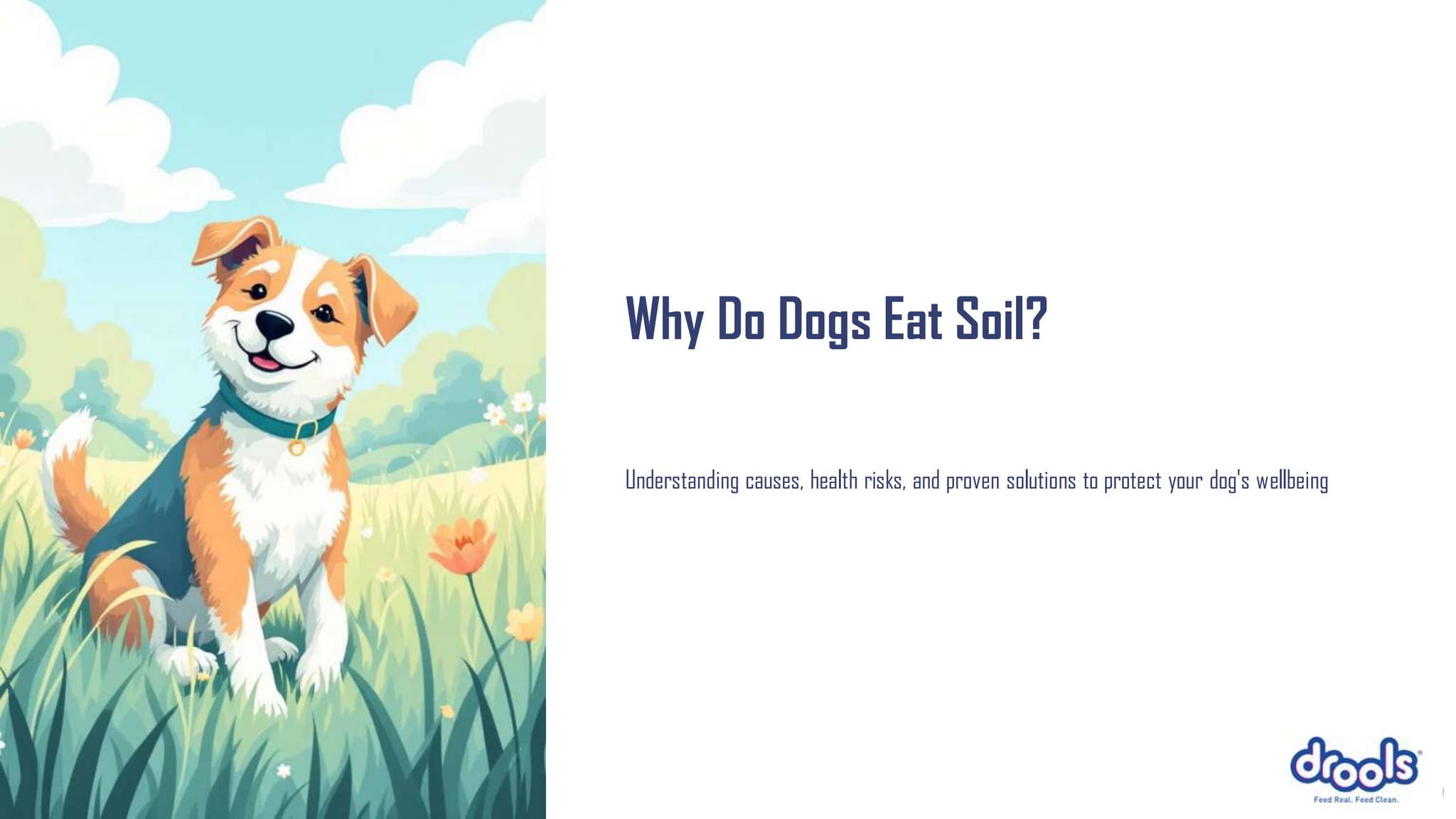 Curated visual reference: Gallery Detail: Why Do Dogs Eat Soil Causes Risks How To Stop