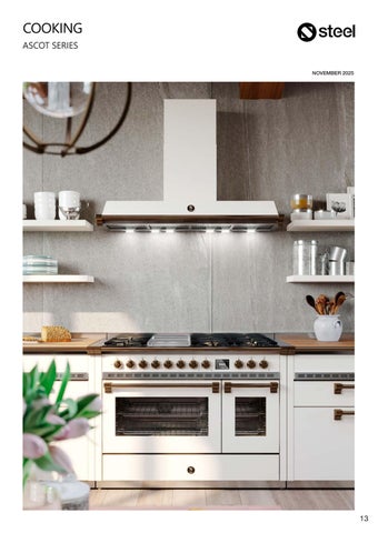 Steel Cucine Pricelist 零售 November 2025 第 13 页