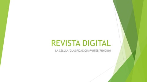 Revista digital