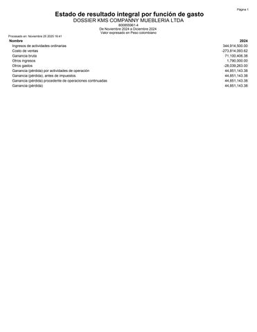DOSSIER KMS COMPANNY MUEBLERIA LTDA. 第 6 页