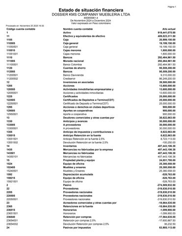 DOSSIER KMS COMPANNY MUEBLERIA LTDA. 第 7 页