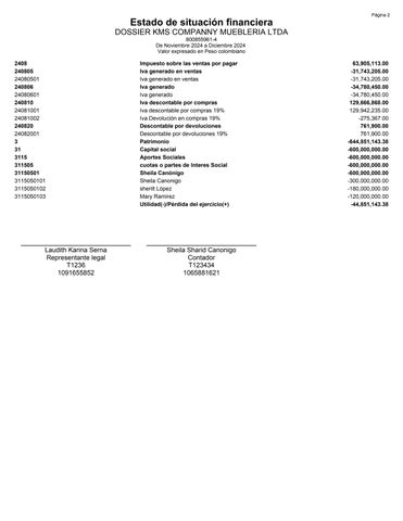 DOSSIER KMS COMPANNY MUEBLERIA LTDA. 第 8 页