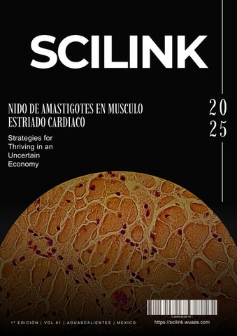 SciLink vol.00