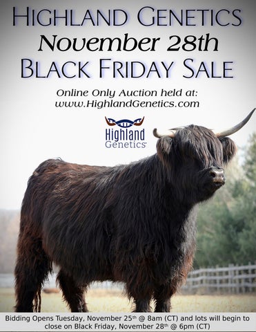 2025 Black Friday Catalog