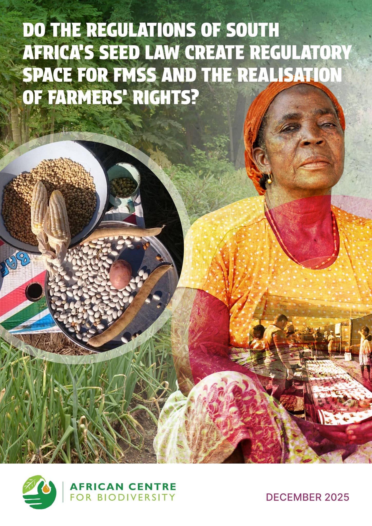Do Regulations Of SA s Seed Law Create Regulatory Space For FMSS And do-regulations-of-sa-s-seed-law-create-regulatory-space-for-fmss-and