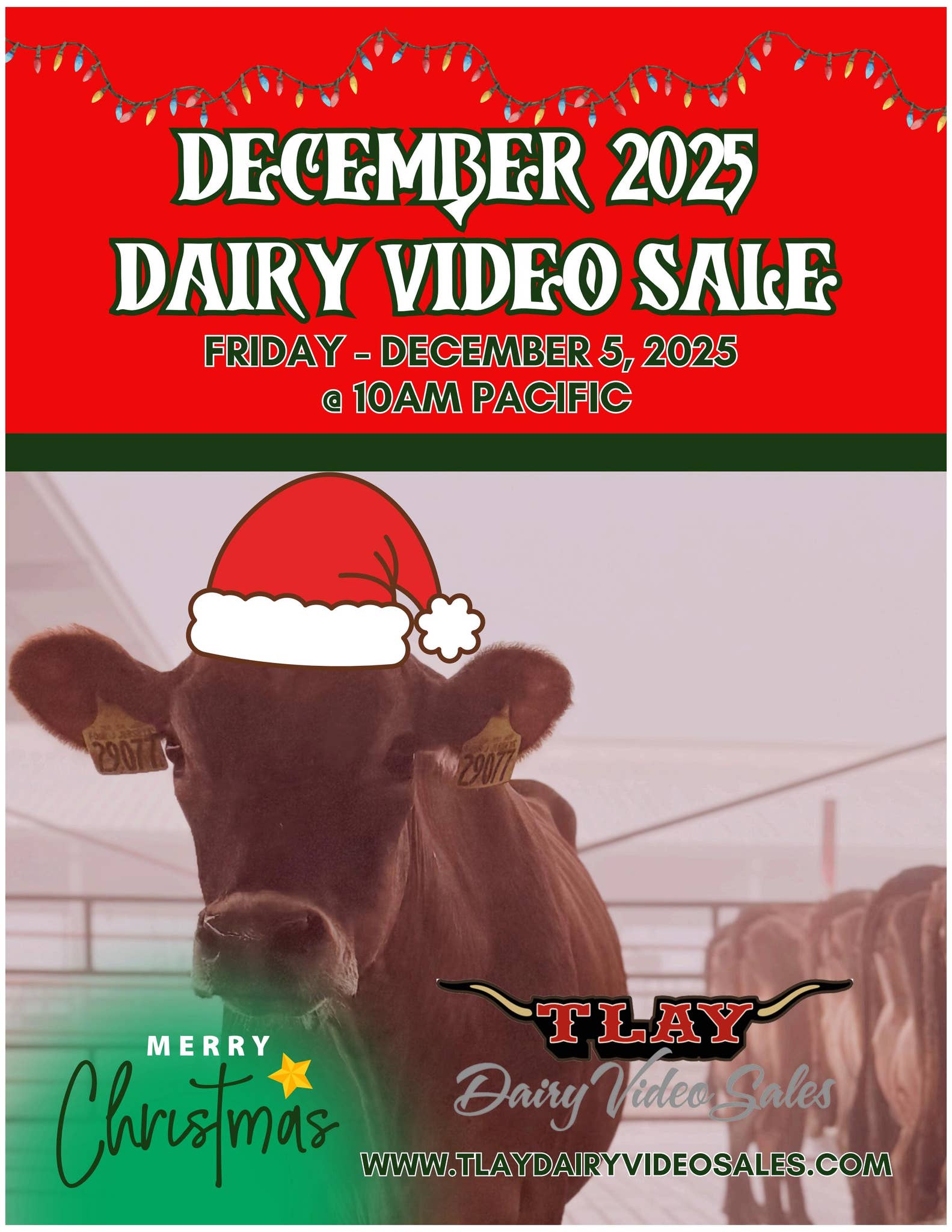 DECEMBER 2025 DVS by TURLOCK LIVESTOCK AUCTION YARD Issuu