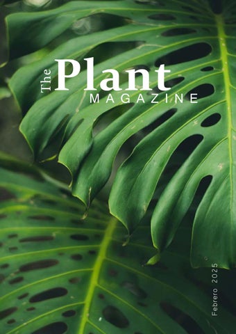 PlantMagazine