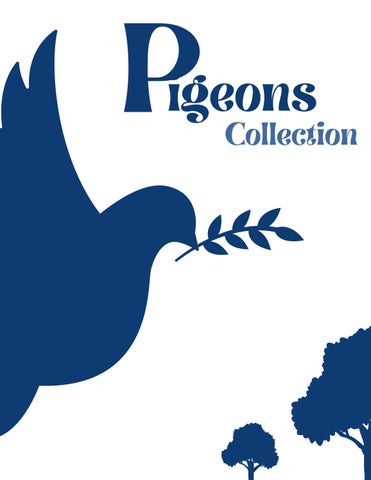 Pigeons Collection 