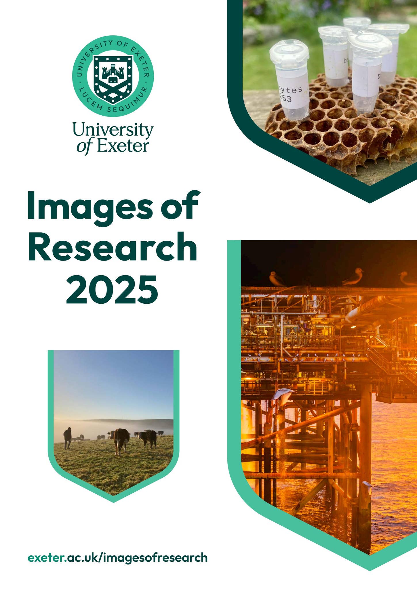 Images of Research 2025 by University of Exeter - Issuu