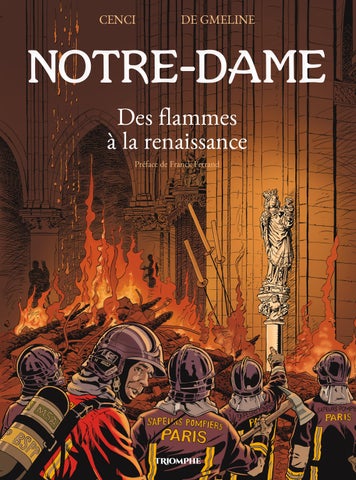 9782383861393 Notre-Dame des flammes à la renaissance NE