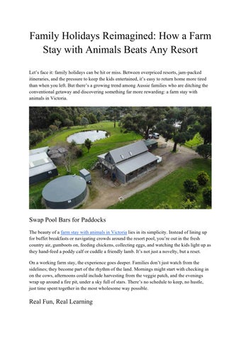 Family Holidays Reimagined How a Farm Stay with Animals Beats Any Resort