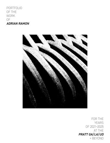 Adrian Ramon Portfolio - Future 100 Submission