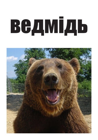 homework in InDesign