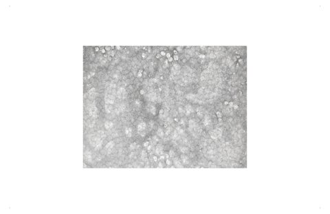 Gyo Sun Hwang_Portfolio