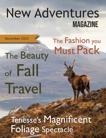 New Adventures Magazine