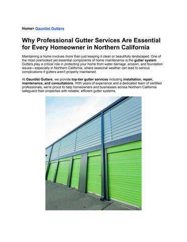 Why Professional Gutter Services Are Essential for Every Homeowner in Northern California