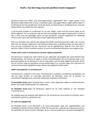 Taxi den haag schiphol