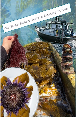 Santa Barbara Seafood Literacy Project Zine Issue 1