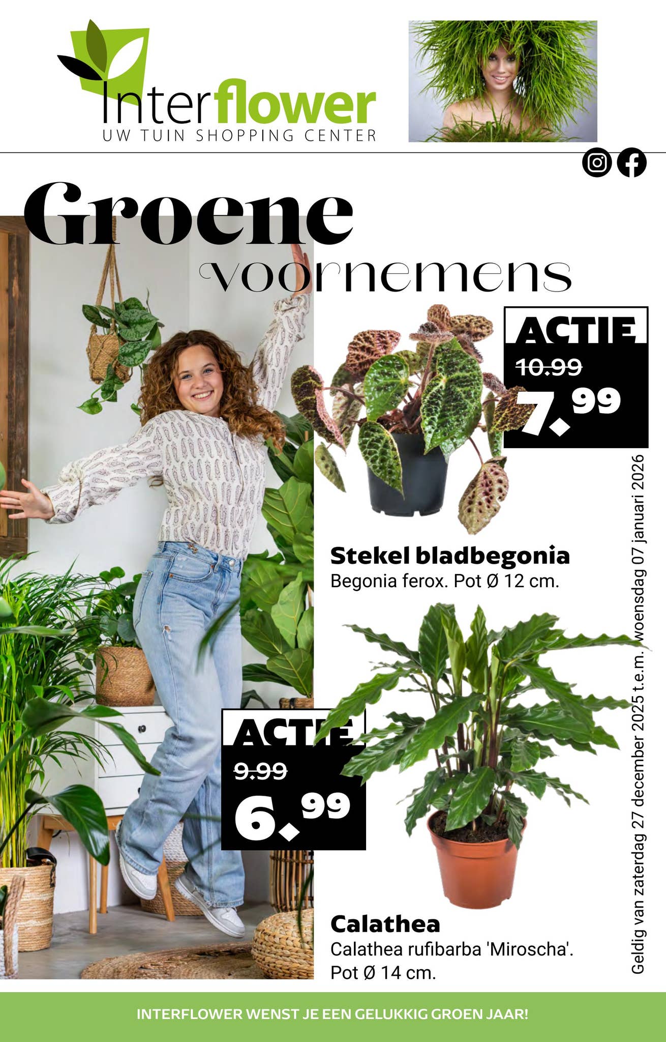 Tuincentrum Interflower | Folder 01 2026 by grsretail - Issuu