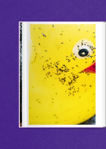 ACC Art Books 灯饰目录 · Matthias Wittig 第 10 页