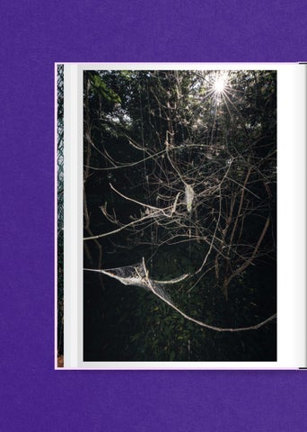 ACC Art Books 灯饰目录 · Matthias Wittig 第 4 页