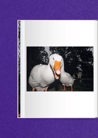 ACC Art Books 灯饰目录 · Matthias Wittig 第 6 页