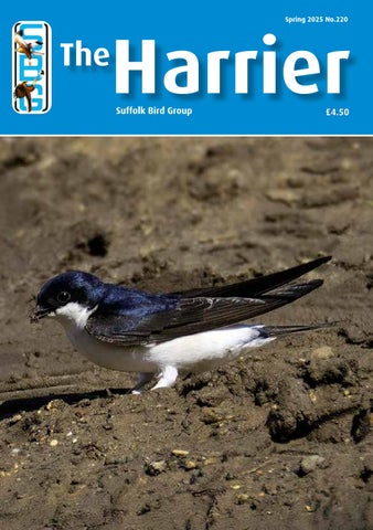 The Harrier 220, Spring 2025