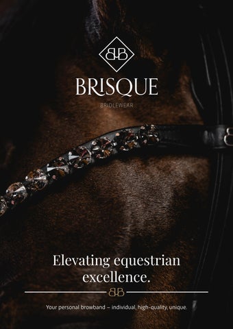 BRISQUE: Color Chart