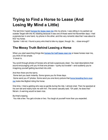 Trying to Find a Horse to Lease (And Losing My Mind a Little)