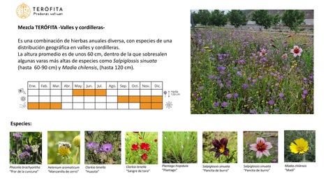 Mezcla Terófita_Valles y Cordilleras