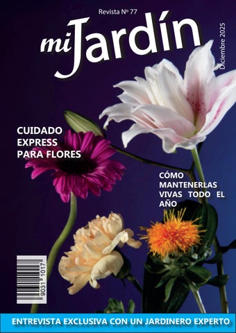 Revista 2025-2
