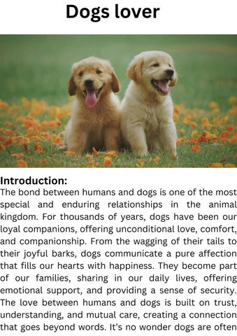 Dog Lover
