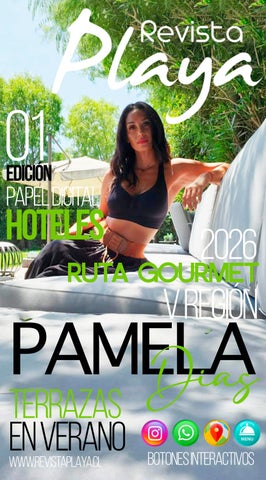REVISTA PLAYA 2026 LANZAMIENTO