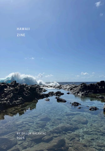 Hawaii Zine