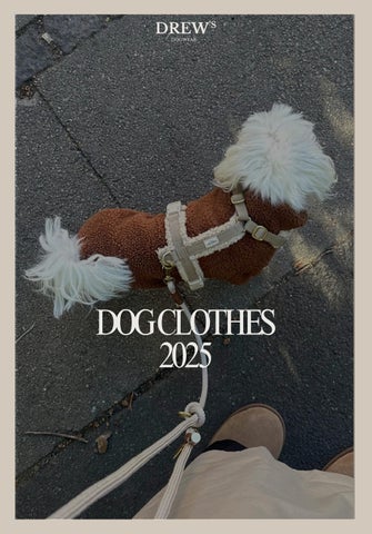 Lookbook - Dog Clothes 2025
