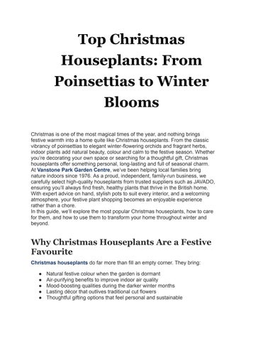 Top Christmas Houseplants From Poinsettias to Winter Blooms