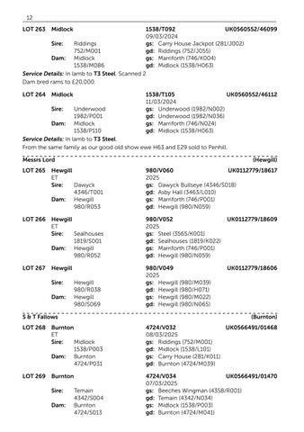 Harrison & Hetherington 灯饰目录 · BFL 2026 第 14 页