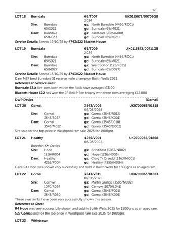 Harrison & Hetherington 灯饰目录 · BFL 2026 第 19 页