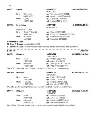 Harrison & Hetherington 灯饰目录 · BFL 2026 第 22 页