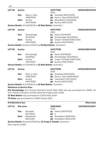 Harrison & Hetherington 灯饰目录 · BFL 2026 第 24 页