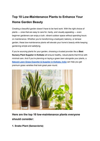 Top 10 Low-Maintenance Plants to Enhance Home Garden Beauty
