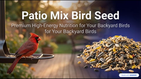 Patio Mix Bird Seed with High-Energy Nutrition