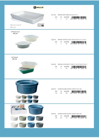 PORCELLANA E CERAMICA - FORNO COTTURA 第 5 页