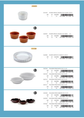 PORCELLANA E CERAMICA - FORNO COTTURA 第 6 页